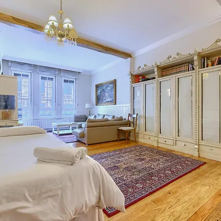 Casa Abando-ibarra Senorial Junto Guggenheim *